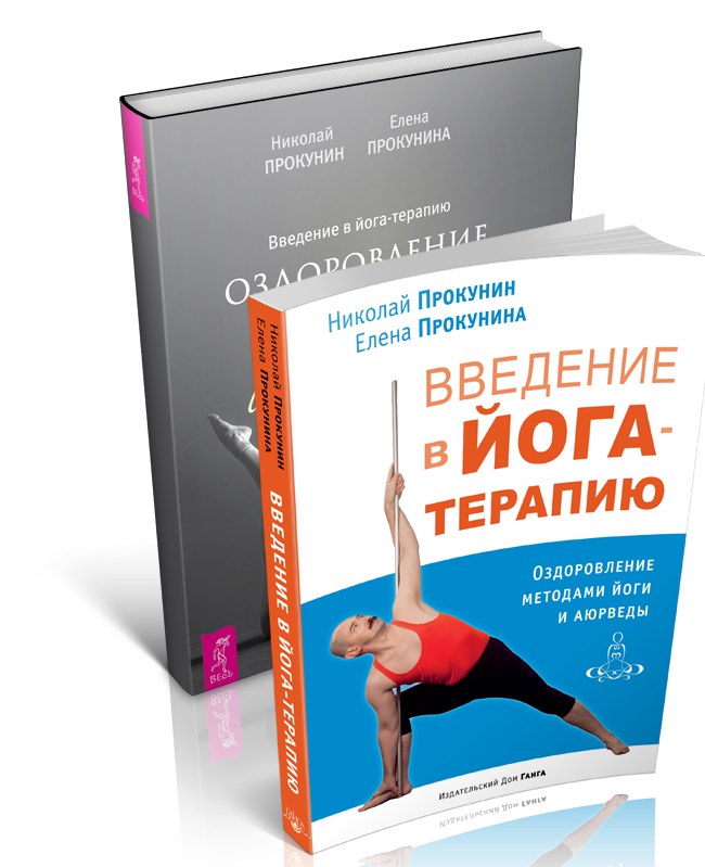 Книга «Введение в йога-терапию»