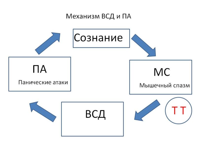 Схема дыхания от панической атаки