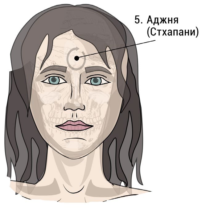 Расположение мармы Аджня на лбу