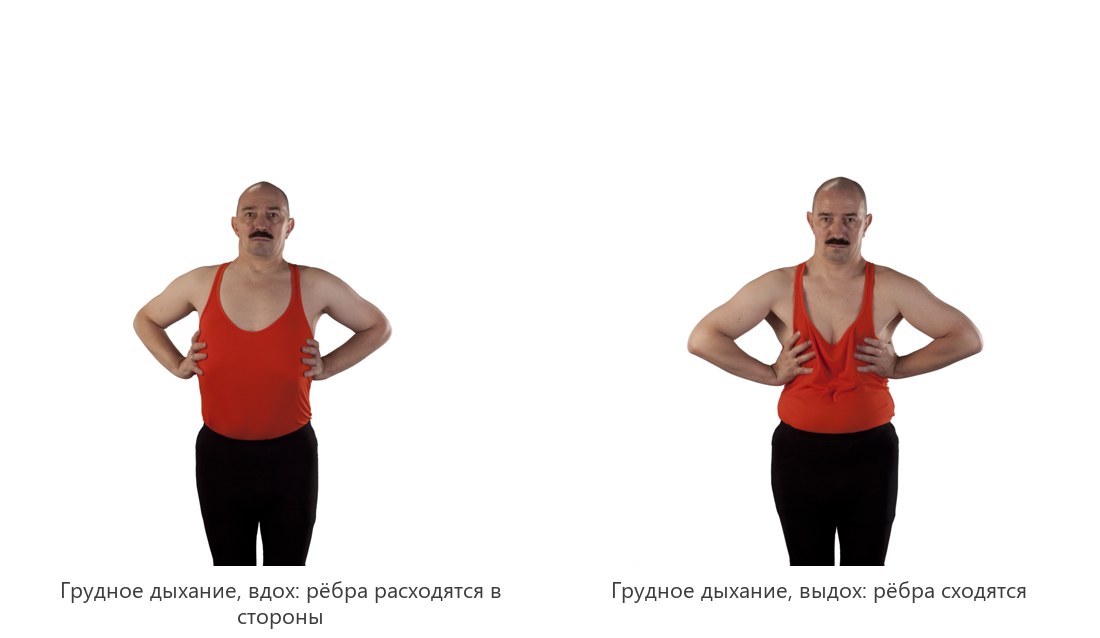 Грудное дыхание: на вдохе расходятся рёбра, живот почти неподвижен