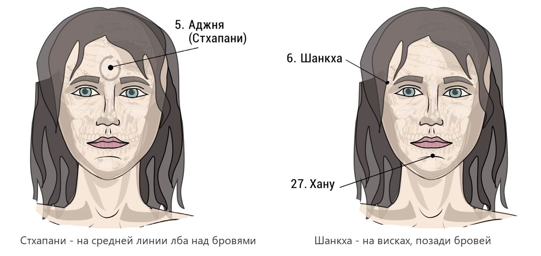 Схема марм Стхапани на лбу и Шанкха на висках