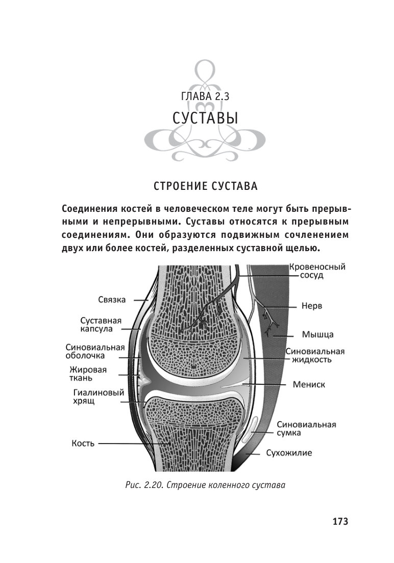 Страница книги «Введение в йога-терапию»: глава о суставах, строение коленного сустава