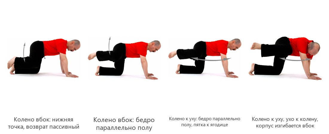 Боковая работа ногой в кошке: колено вбок и колено к уху