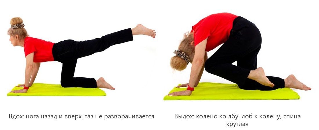 Махи ногой в позе кошки: вдох нога вверх, выдох колено ко лбу