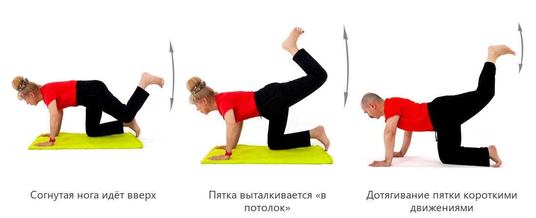 Махи согнутой ногой в кошке: пятка выталкивается в потолок