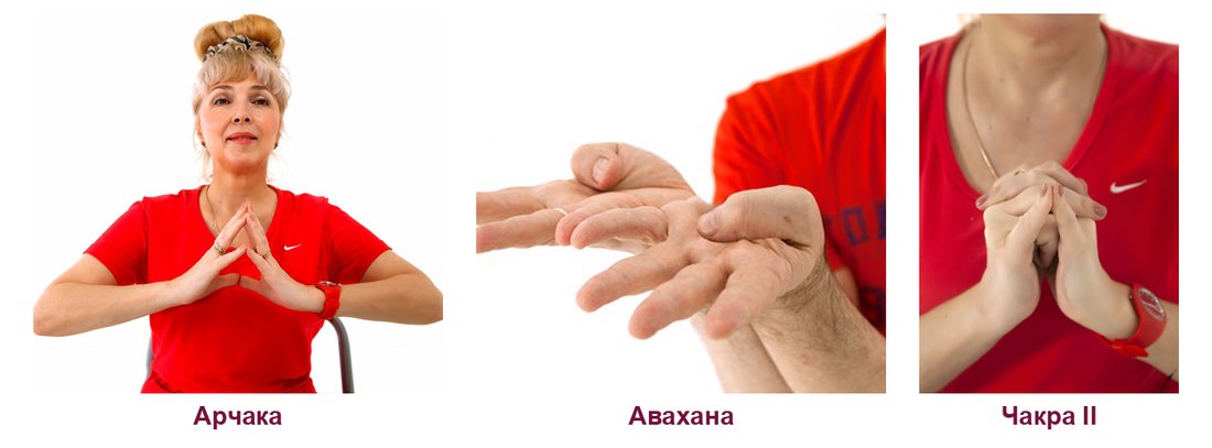 Мудры для вата доши: Арчака, Авахана, Чакра мудра II