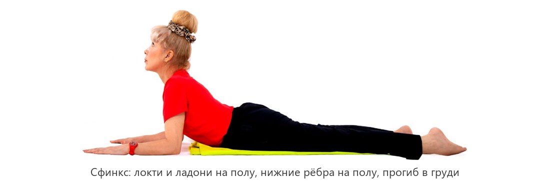 Поза сфинкса: локти и ладони на полу, прогиб в грудном отделе