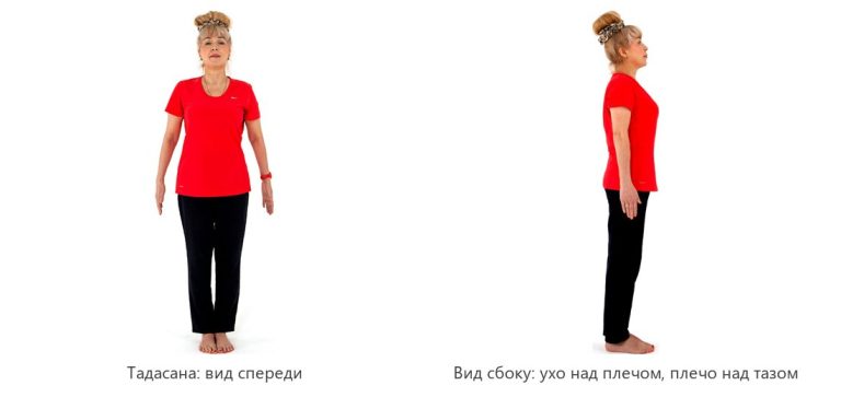 Упражнения для осанки: как убрать сутулость взрослому в домашних условиях