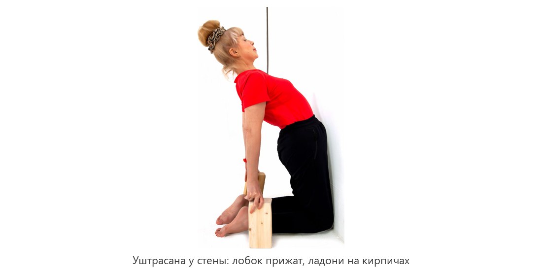 Уштрасана у стены: лобковая кость прижата к стене, ладони на кирпичах