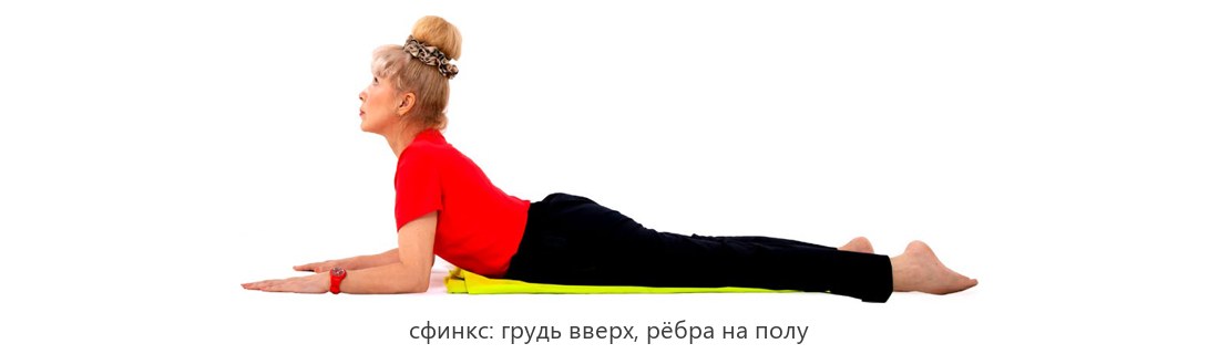 Сфинкс, мягкий вариант позы кобры: грудь поднята, нижние рёбра на полу