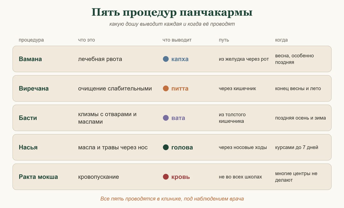 Пять процедур панчакармы: вамана, виречана, басти, насья, ракта мокша