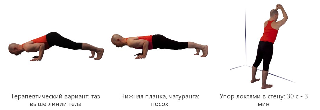 Нижняя планка чатуранга дандасана: терапевтический вариант с тазом выше, классический и упор локтями в стену