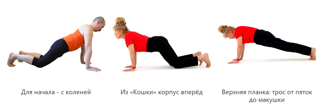 Верхняя планка урдхва чатуранга дандасана: с коленей, из позы кошки и финальный вариант