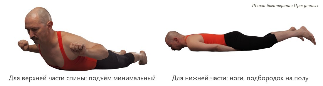 Ардха шалабхасана для верхней и для нижней части спины