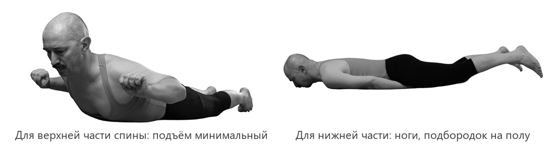Ардха шалабхасана для верхней и для нижней части спины