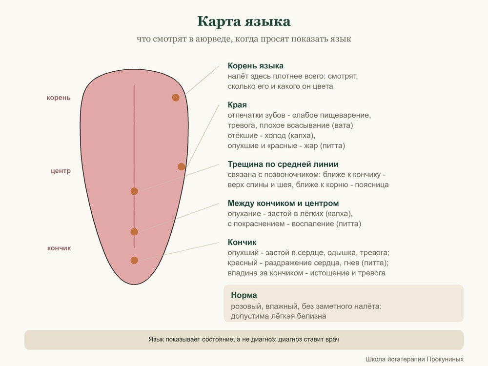 Схема: карта языка - корень, центр, кончик, края и средняя линия с их значениями в аюрведе
