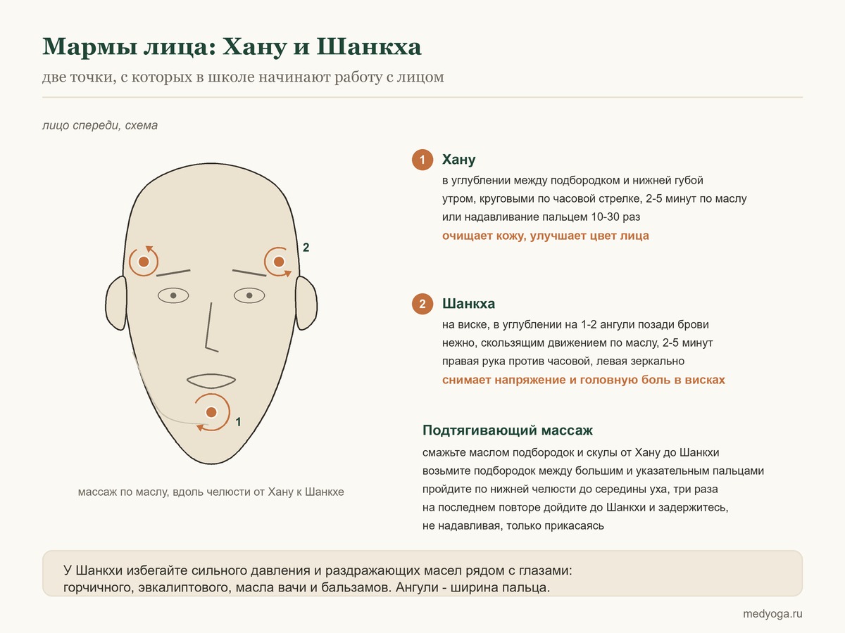 Схема: марма Хану в углублении подбородка и марма Шанкха на виске, направление массажа по маслу