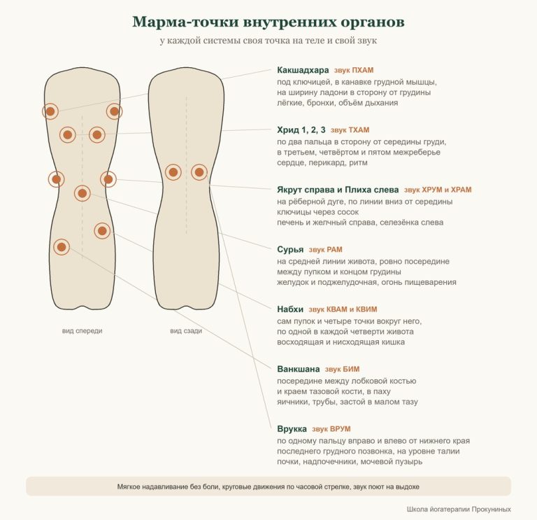 Марма-точки внутренних органов: где находятся и какой звук поют