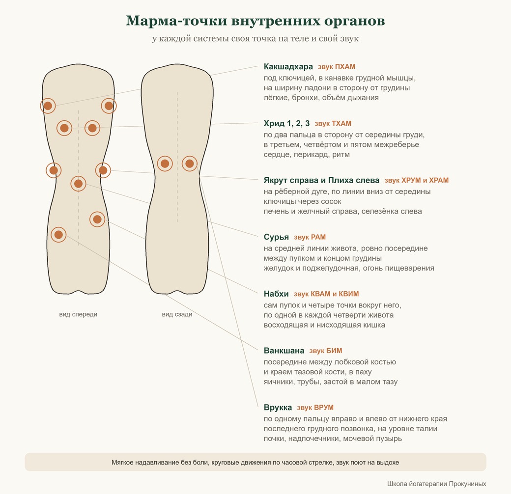 Схема марма-точек внутренних органов: Какшадхара, Хрид, Якрут, Плиха, Сурья, Набхи, Ванкшана и Врукка со звуками