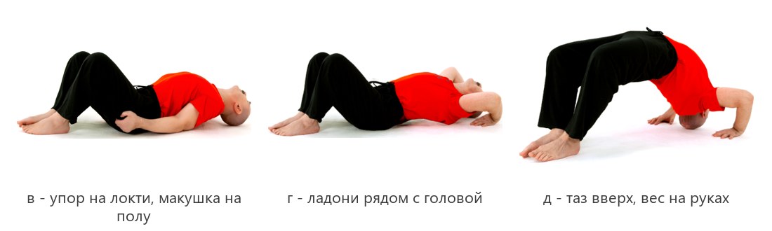 Борцовский мост на полу: локти, ладони у головы, таз вверх