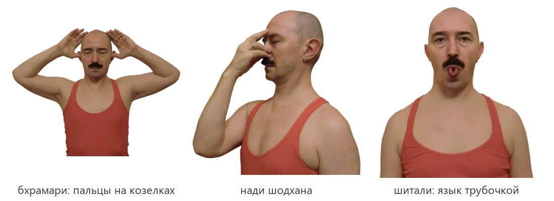 Дыхание перед сном: бхрамари, нади шодхана и шитали