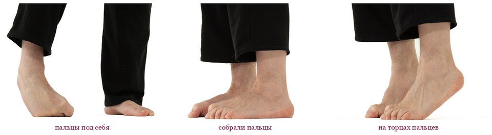 Пальцы под себя и подъём на торцы пальцев