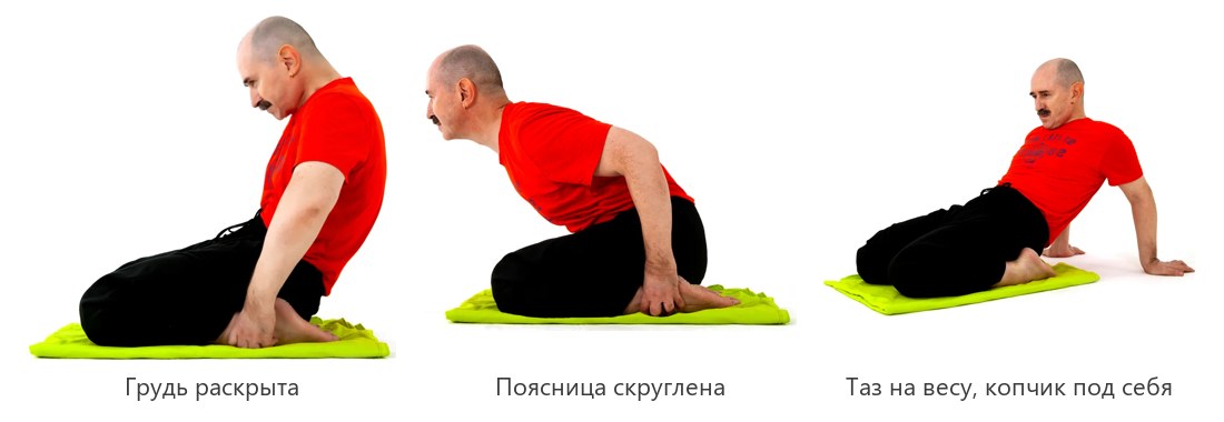 Динамика в вирасане: прогиб в грудной клетке, скругление поясницы и движения тазом на весу