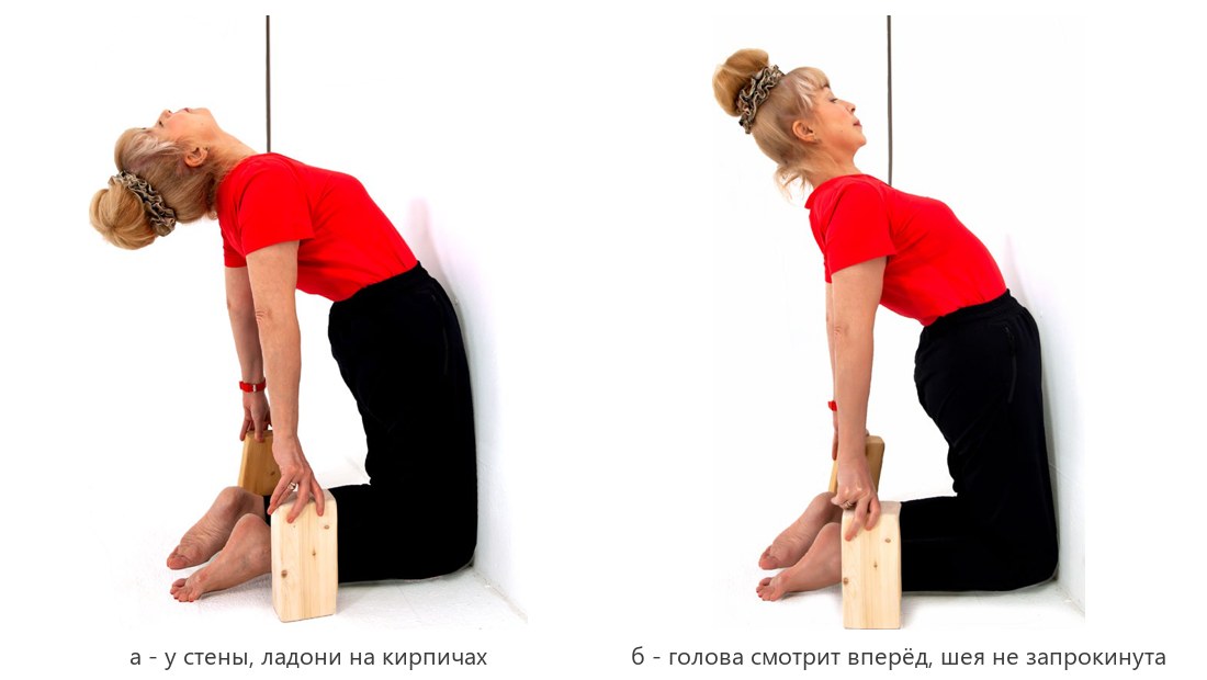 Поза верблюда у стены с ладонями на кирпичах: голова назад и голова вперёд