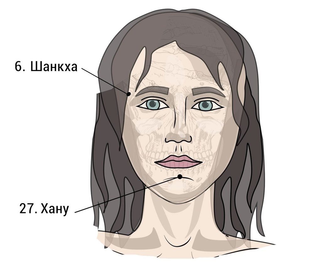 Схема лица с марма-точками Шанкха на виске и Хану в центре подбородка