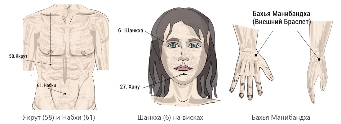 Марма-точки для пищеварения: Якрут и Набхи на животе, Шанкха на висках, Бахья Манибандха на запястье