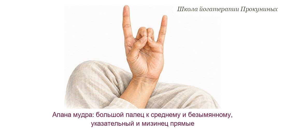 Апана мудра акварелью: кисть руки, кончик большого пальца касается кончиков среднего и безымянного, указательный палец и мизинец прямые