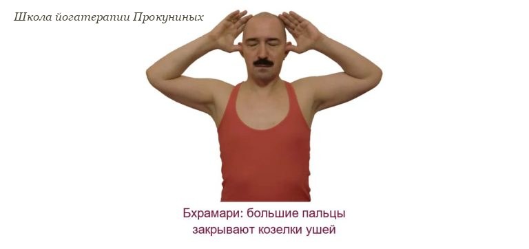 Бхрамари