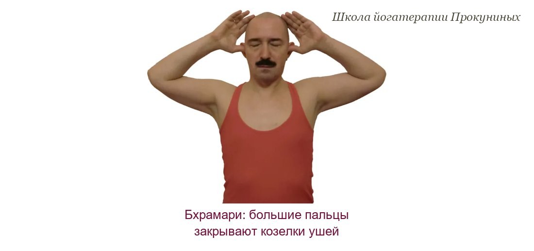Бхрамари пранаяма: большие пальцы закрывают козелки ушей, остальные пальцы раскрыты на голове, глаза закрыты