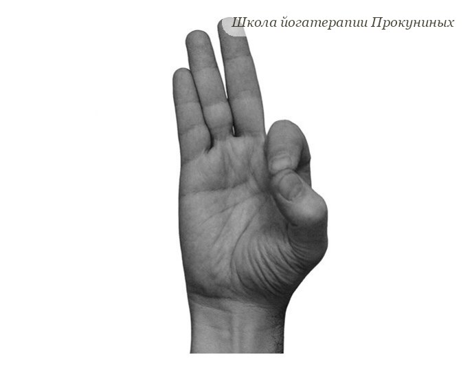 Джняна мудра: большой и указательный пальцы соединены колечком, остальные выпрямлены