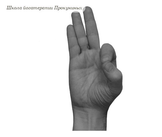 Джняна мудра