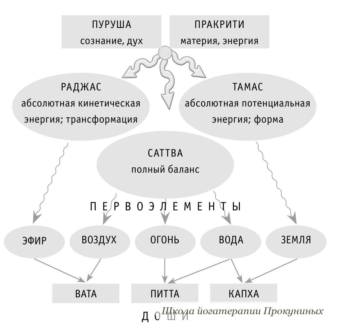 Схема: пуруша и пракрити, из них раджас, тамас и саттва, затем пять первоэлементов и три доши