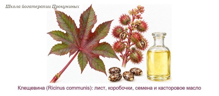 Касторовое масло