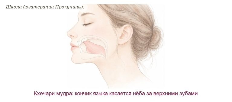 Кхечари мудра (язык к нёбу)