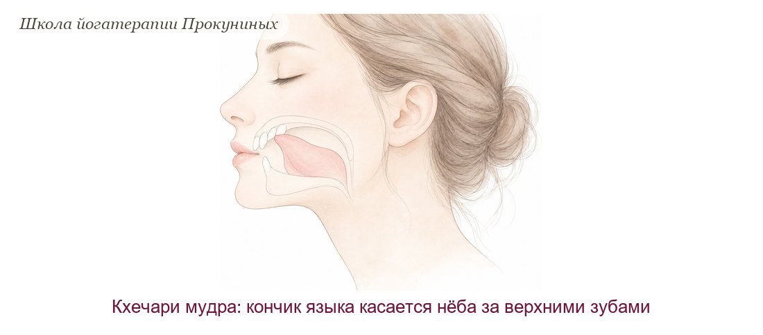 Акварельная схема кхечари мудры: женщина в профиль, кончик языка касается нёба за верхними зубами
