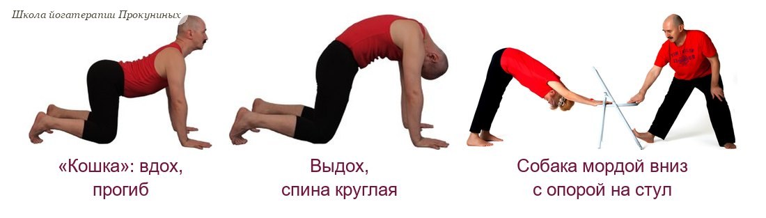 Цикл кошки: прогиб на вдохе и круглая спина на выдохе, собака мордой вниз с опорой руками на стул
