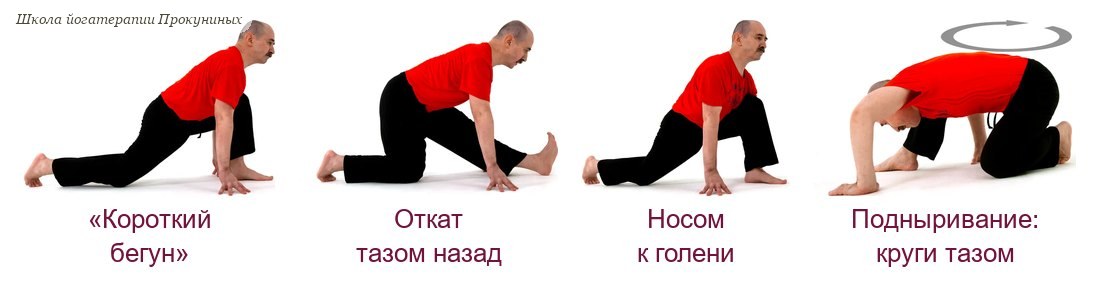 «Короткий бегун»: исходное положение, откат тазом назад, наклон к голени; «подныривание» плечом под колено с кругами тазом