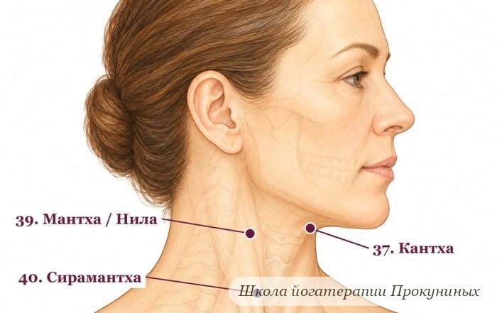 Отёки лица по утрам