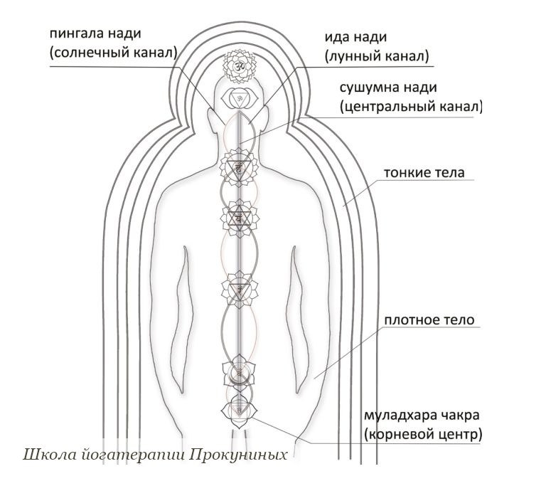 Ида, пингала и сушумна