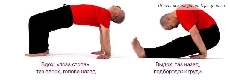 Обратная планка