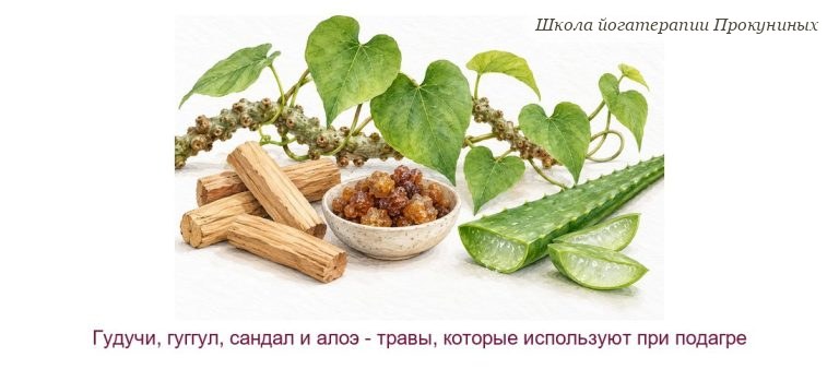 Подагра по аюрведе