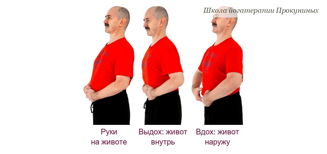 Дыхание животом: руки на животе, на выдохе живот уходит внутрь, на вдохе выходит наружу