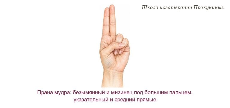 Прана мудра