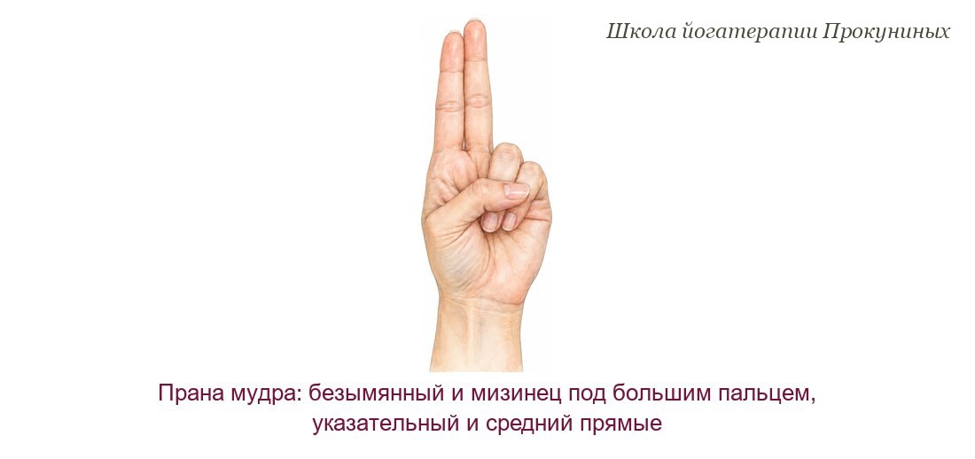 Прана мудра акварелью: безымянный палец и мизинец согнуты под большим пальцем, указательный и средний прямые