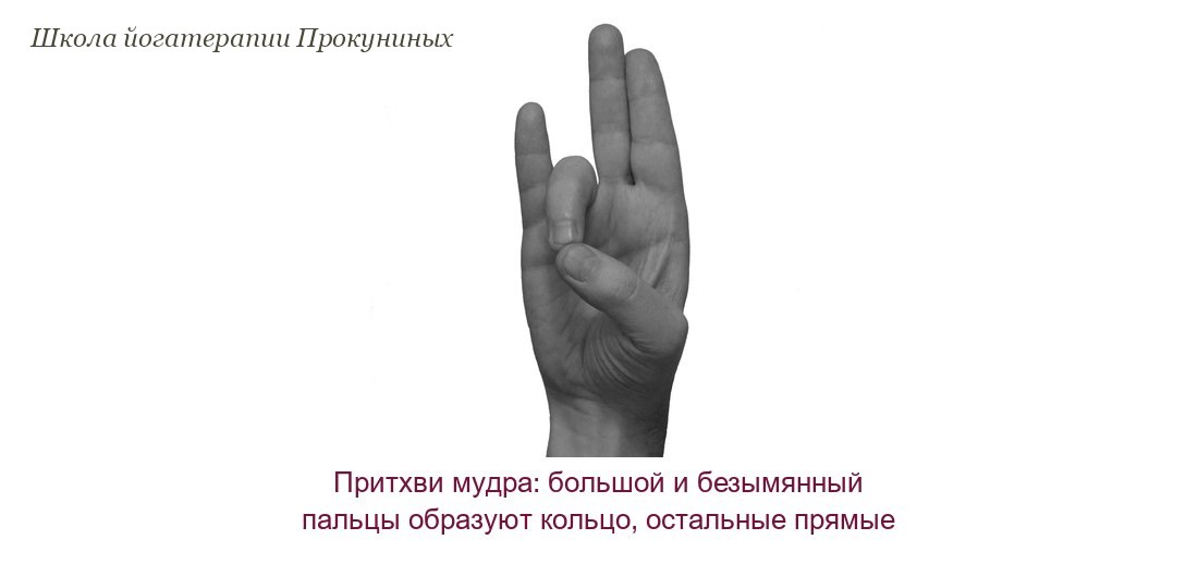 Притхви мудра: кончики большого и безымянного пальцев образуют кольцо, остальные пальцы выпрямлены