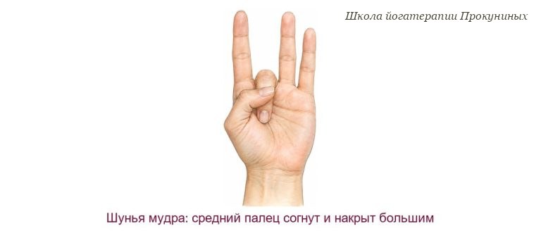 Шунья мудра (мудра пустоты)